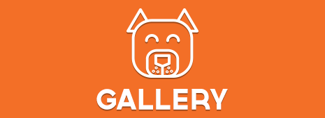 Gallery-Dog